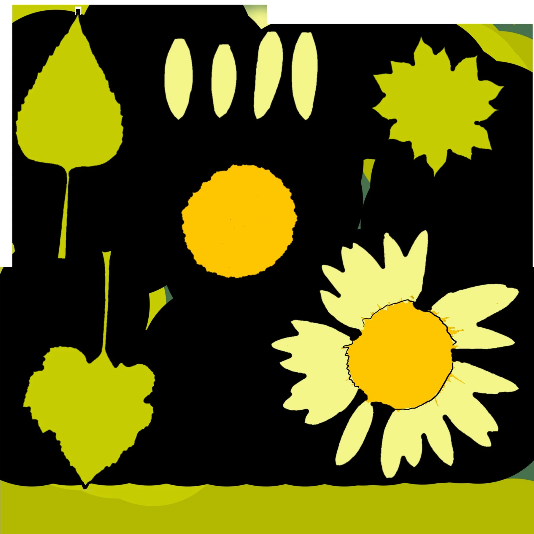 Repainted UV texture with flat yellow-green leaves, pale petals and orange flower centres on black