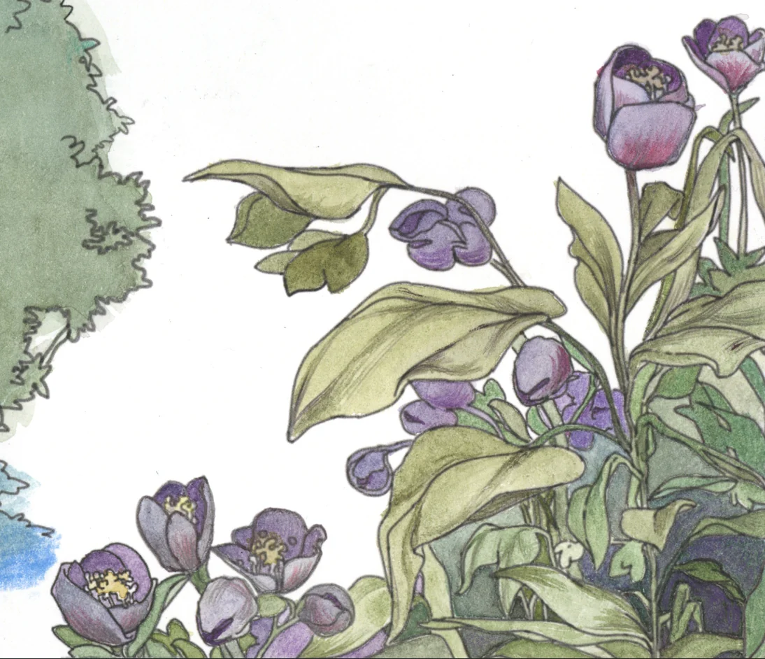 Inked purple flowers and pale green leaves painted in watercolour and colour pencil