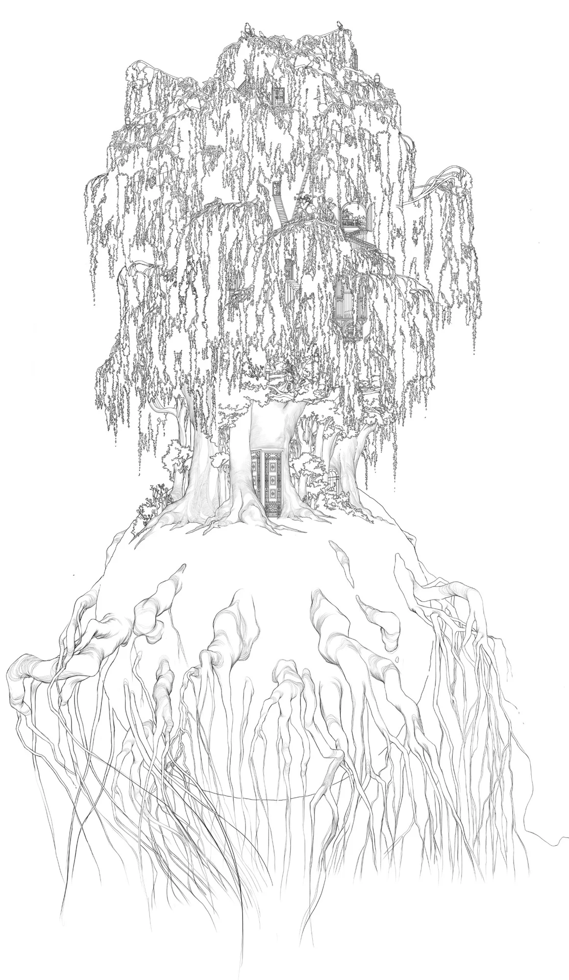 Finished digital line drawing of the willow tree, with doors, stairs and rooms hidden among the hanging branches and long roots trailing below